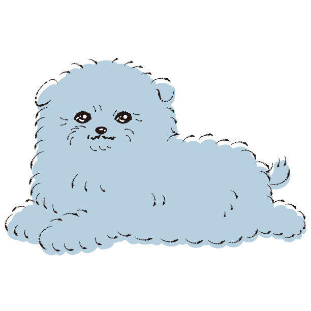 pompompoo插画(博美犬和玩具贵宾混合犬)图片下载