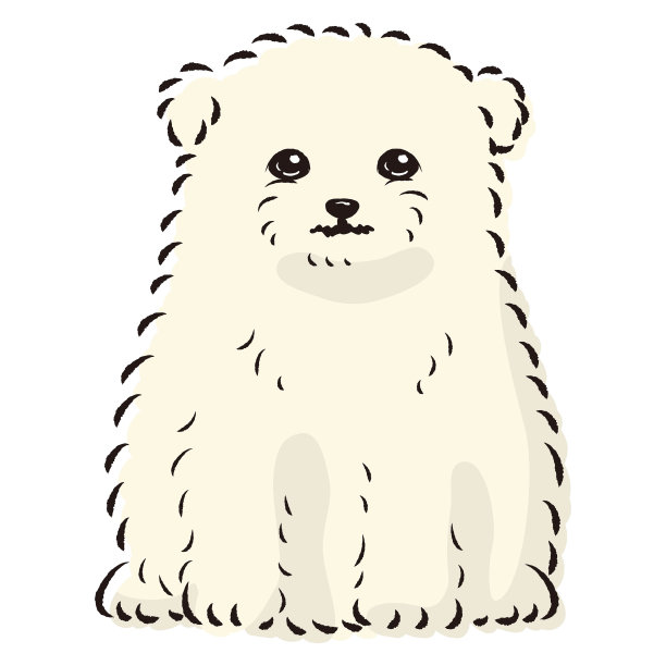 Malpome(马尔济斯和波美拉尼亚杂交犬)的插图图片下载