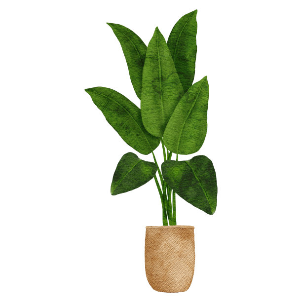 水彩家居装饰热带植物花盆图片下载