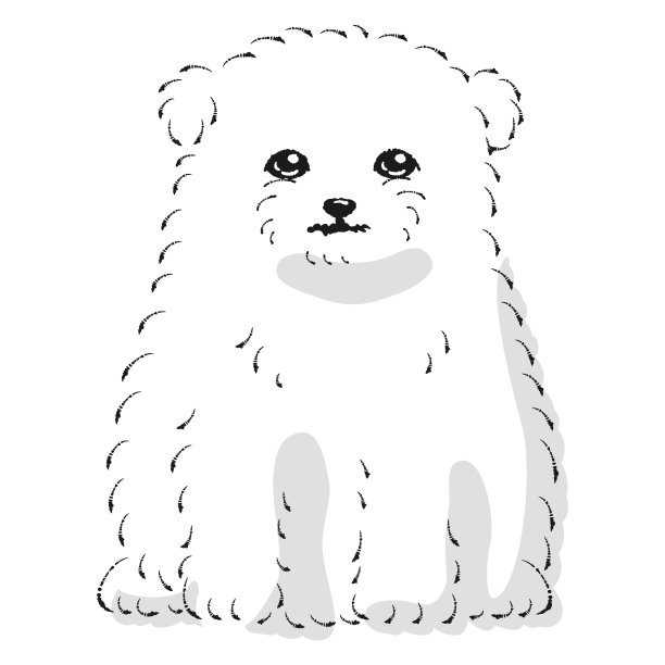 Malpome(马尔济斯和波美拉尼亚杂交犬)的插图图片下载