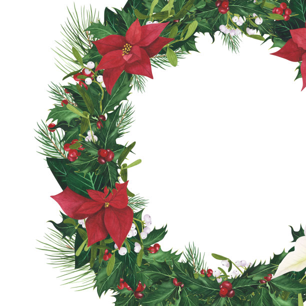 圆形框架冬青圣诞，一品红，槲寄生孤立上白色。水彩手绘设计插图图片下载