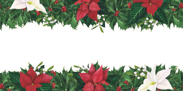 无缝框架与圣诞冬青叶浆果，一品红，槲寄生。水彩插图模板，海报图片下载