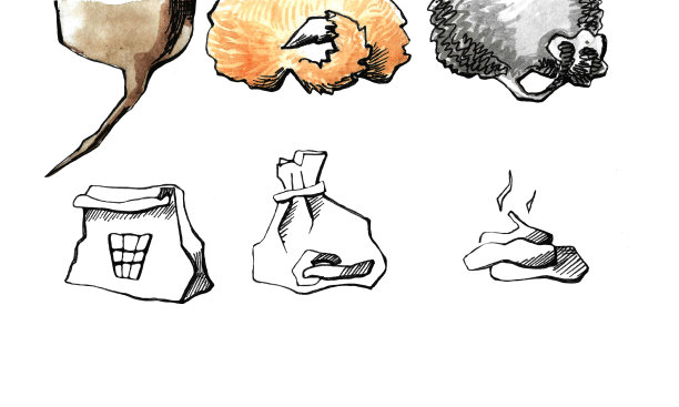 清理你的狗图片下载