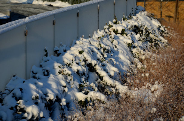 玻璃栏杆，金属手柄由抛光不锈钢管制成。阳台护栏单层胶合多层钢化安全玻璃。干草一排。霜白色糖霜不透明，抛光图片下载