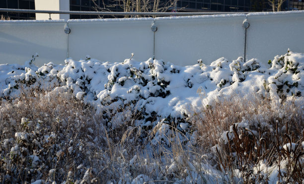 玻璃栏杆，金属手柄由抛光不锈钢管制成。阳台护栏单层胶合多层钢化安全玻璃。干草一排。霜白色糖霜不透明，抛光图片下载
