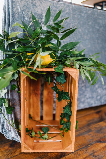 木装饰。户外木制照片区或墙。婚礼拱门是用柠檬和绿色植物装饰的盒子。露天仪式的装饰。酸甜的乡村风格。特写镜头。图片下载