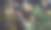 圣诞餐桌布置礼物图片下载