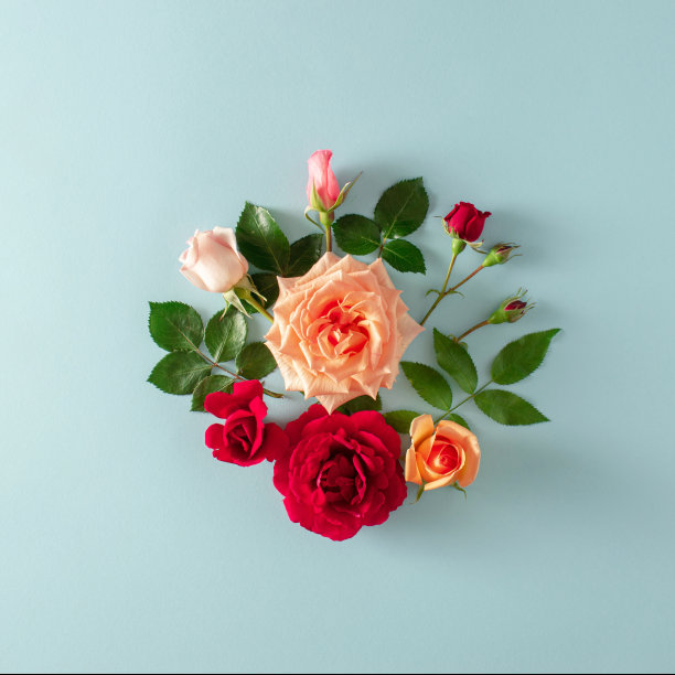 蓝色背景插花图片下载