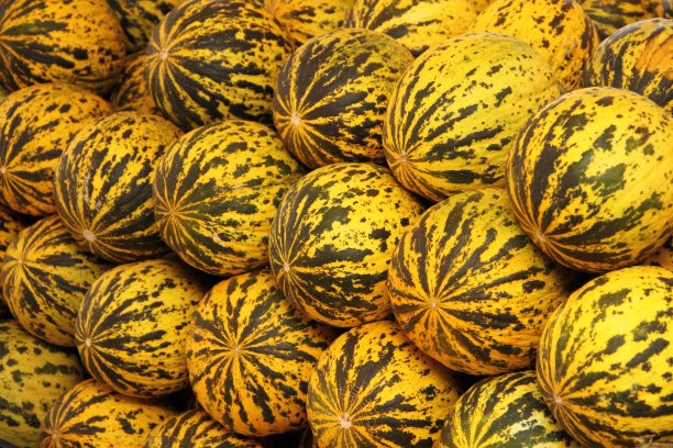 市场上的新鲜甜瓜图片下载
