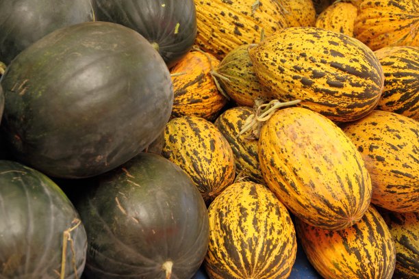 市场上的新鲜甜瓜图片下载
