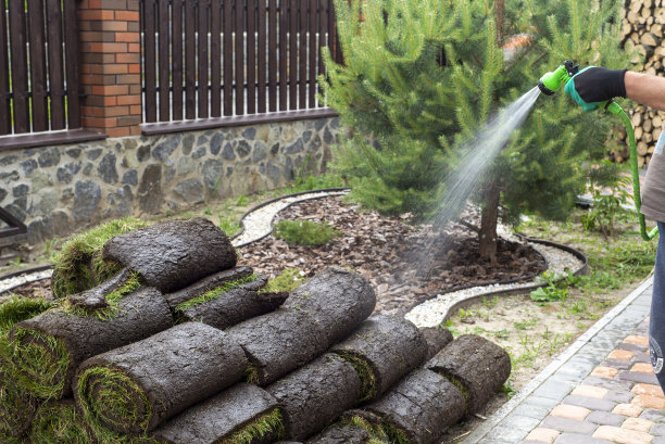新草坪用的草皮卷图片下载