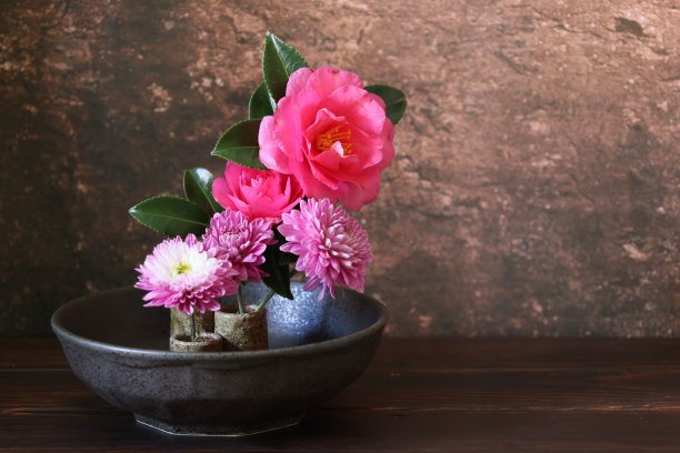 花木和菊花摆放在日式。图片下载