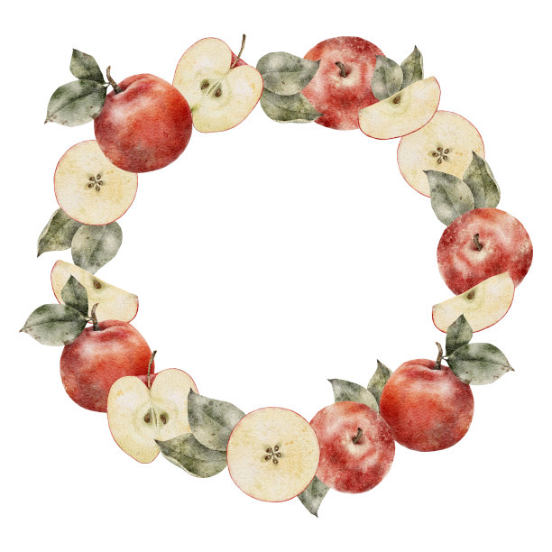 水彩红苹果花环。手绘插图孤立的白色背景。框架完美的卡片，邀请，标签，印刷图片下载