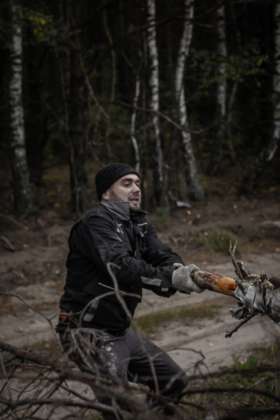 一个戴着工作手套的男人用双手拉着树枝。一个留着胡子的白人男子在整理倒下的树木，把它们砍成柴火。男人的工作理念。图片下载