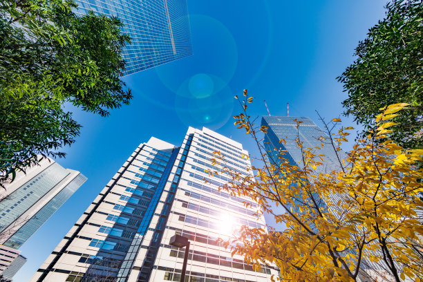 东京的建筑物和落叶的树木图片下载