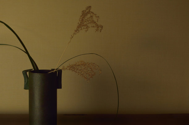 花瓶里的Susuki图片下载