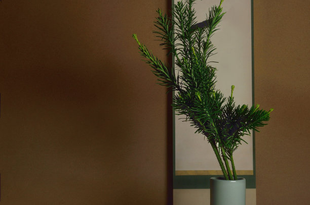 花瓶中的Maki图片下载