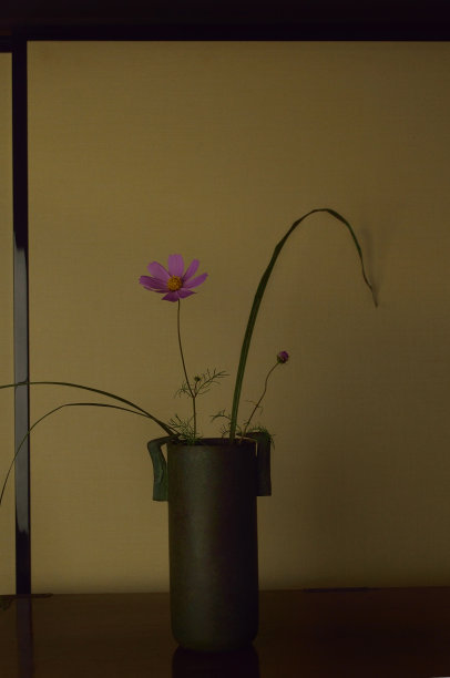 花瓶中的宇宙图片下载