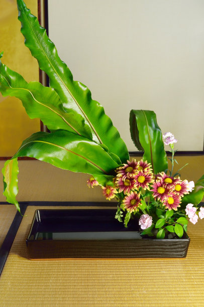 插花与菊图片下载