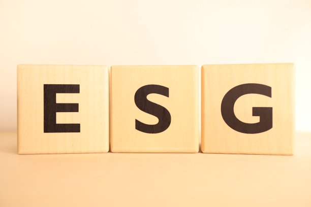 “ESG”字母木块图片下载