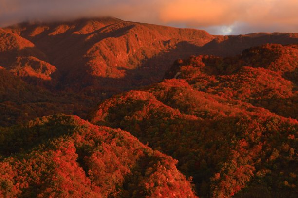 日出与秋叶图片下载