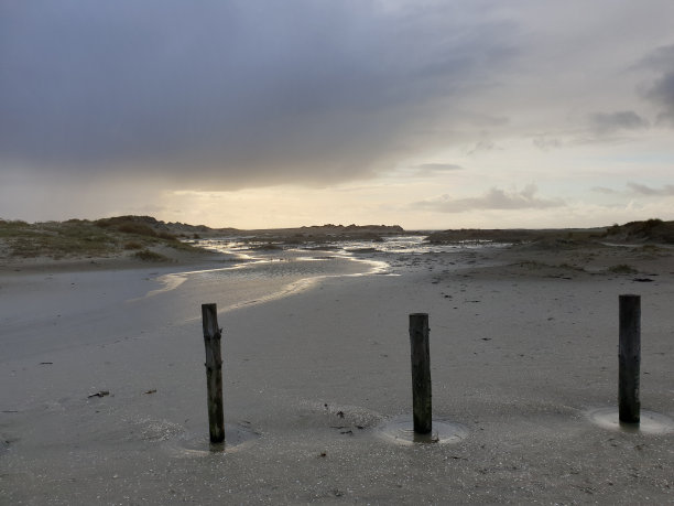 北海。低潮，高潮，泥滩，海浪，沙丘草和沙滩。再加上阳光和天空中有趣的云朵。没有自然。幸福!图片下载