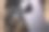 木桌上的手机和专业相机的高角度特写镜头图片下载