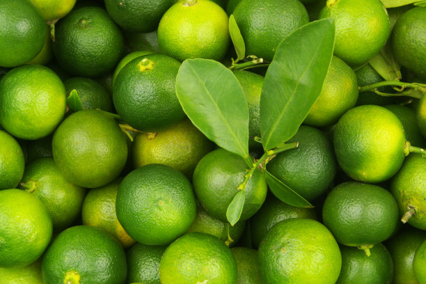 新鲜成熟的酸橙背景图片下载