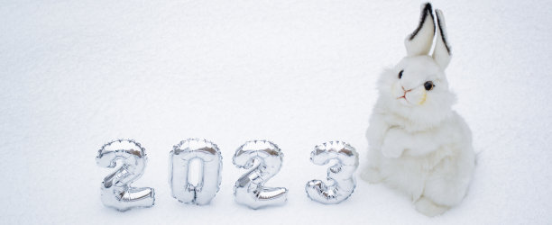 横幅与白色毛绒兔子玩具与银色数字的新年2023在白色的雪背景。副本的空间。2023年中国新年的标志图片下载