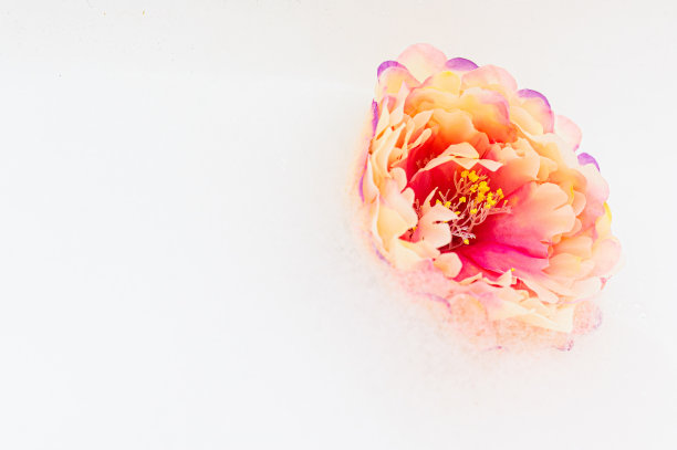 泡沫和花朵图片下载