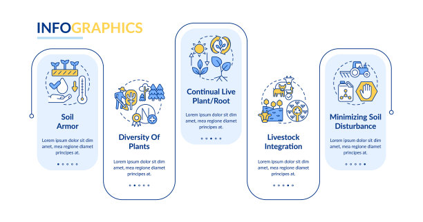 再生农业原理蓝色矩形信息图模板图片下载