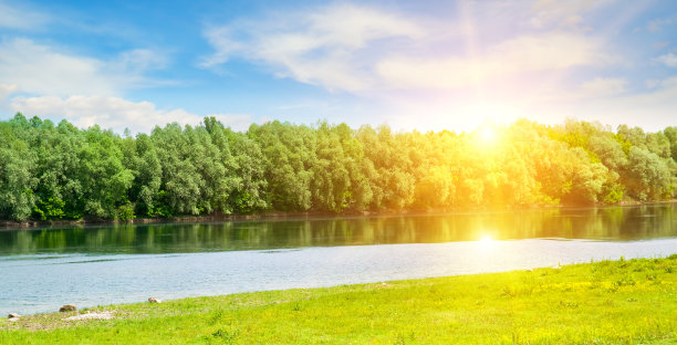 平原河流，风景如画的海岸，森林和阳光明媚的日子。宽的照片。图片下载