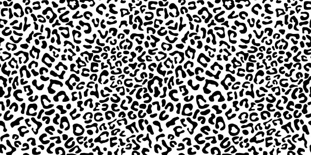 豹纹图案无缝设计在黑白图案上图片下载