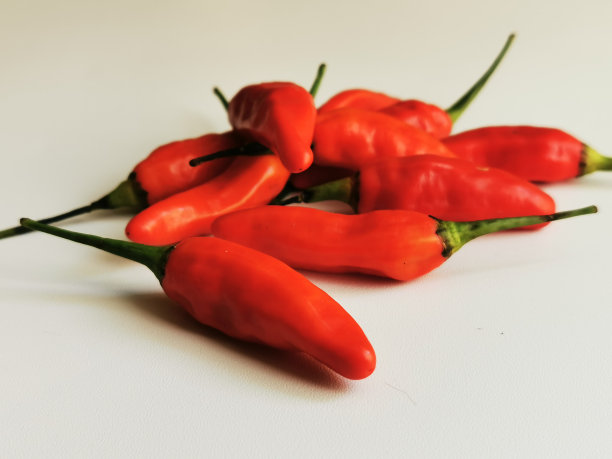 白色背景上的一串印尼红辣椒(辣椒)图片下载