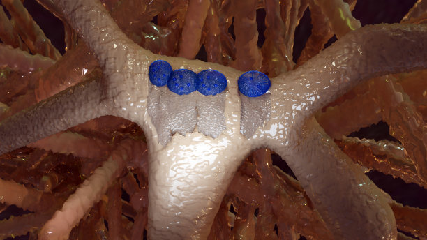 成骨细胞的3d插图，医学上准确，骨建模和重塑，骨组织，钙吸收细胞从骨和软骨，3d渲染图片下载