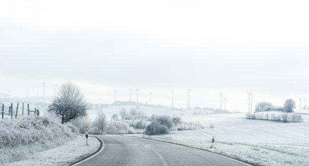 冬季景观雪图片下载