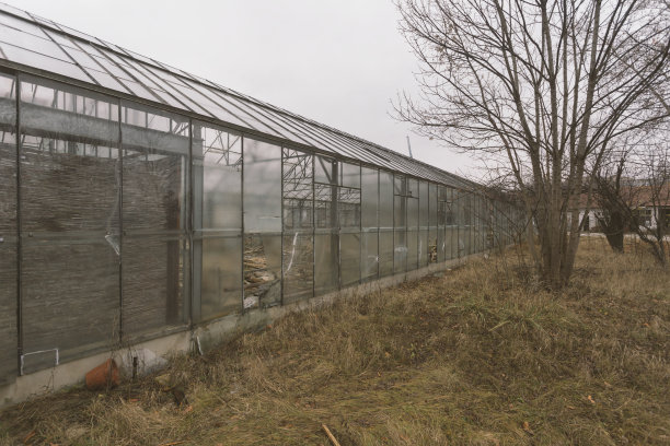 小企业破产图片下载