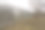 小企业破产图片下载
