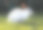 自然界中的白兔图片下载