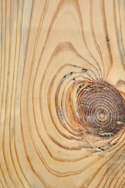 带圆圈的抛光木板图片下载