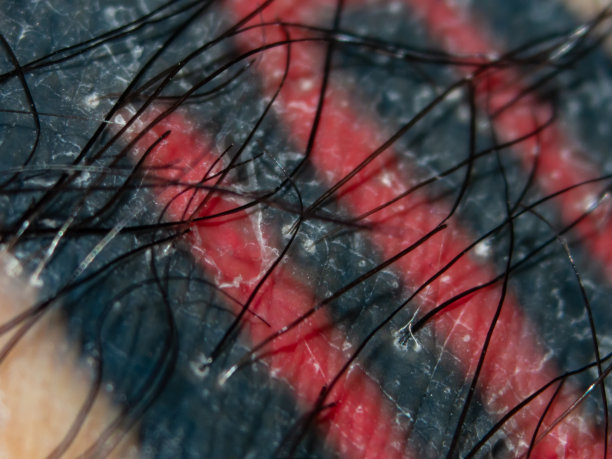 纹身的皮肤图片下载