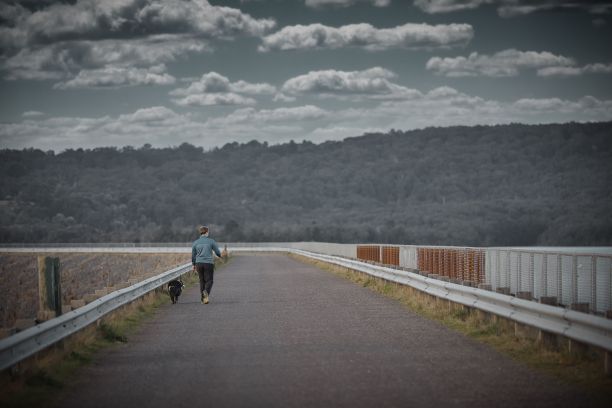 男性在浓密的树木背景下走在路上的背影图片下载