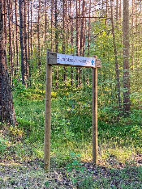 在森林公园区域内有指示步行路线方向的指示器的木杆。康乐及旅游业图片下载