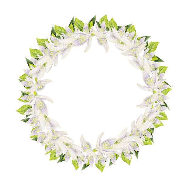 水彩手绘圈花环与春天的花朵，水仙花，番红花，雪花莲，叶子。孤立在白色背景上。设计邀请，婚礼，贺卡，壁纸，印刷，纺织品。图片下载