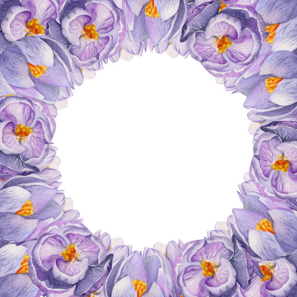 水彩手绘圈花环与春天的花朵，水仙花，番红花，雪花莲，叶子。孤立在白色背景上。设计邀请，婚礼，贺卡，壁纸，印刷，纺织品。图片下载