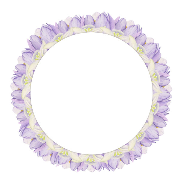 水彩手绘圈花环与春天的花朵，水仙花，番红花，雪花莲，叶子。孤立在白色背景上。设计邀请，婚礼，贺卡，壁纸，印刷，纺织品。图片下载