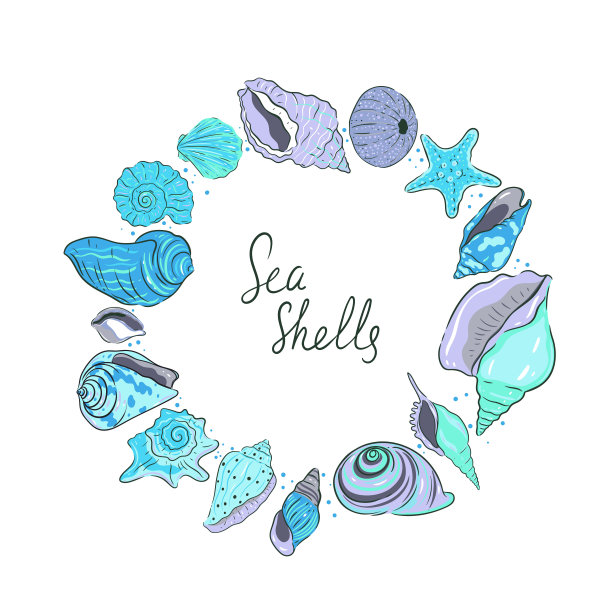 由白色背景上的蓝色贝壳制成的圆形框架。矢量图形。图片下载