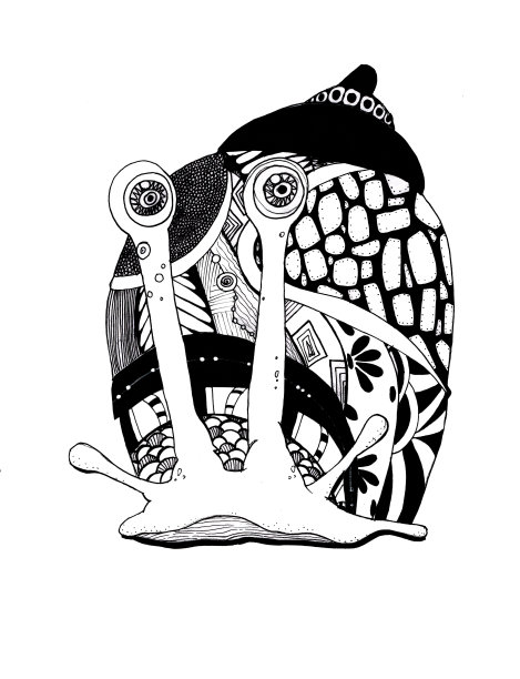 大葡萄蜗牛。白色背景上孤立的装饰性插图。图片下载