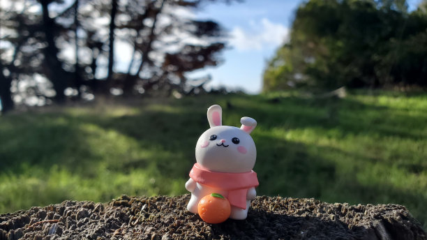 兔子娃娃在晴天图片下载