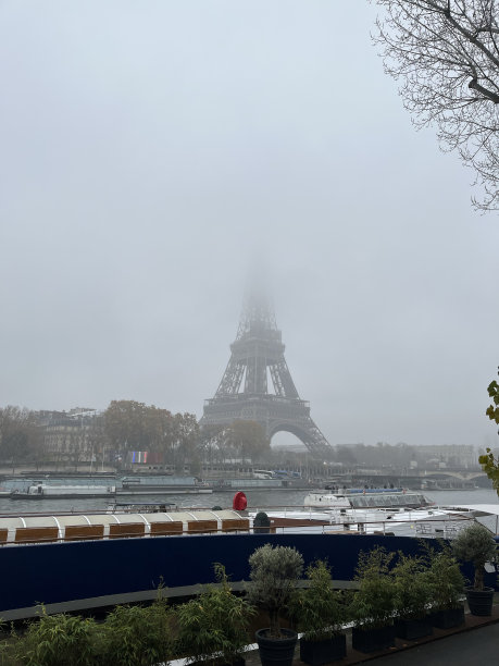冬天雾中的埃菲尔铁塔图片下载